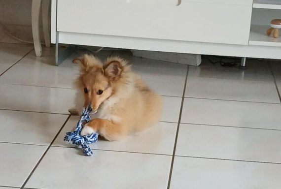 Austin 5 mois a besoin de prendre un bon départ.